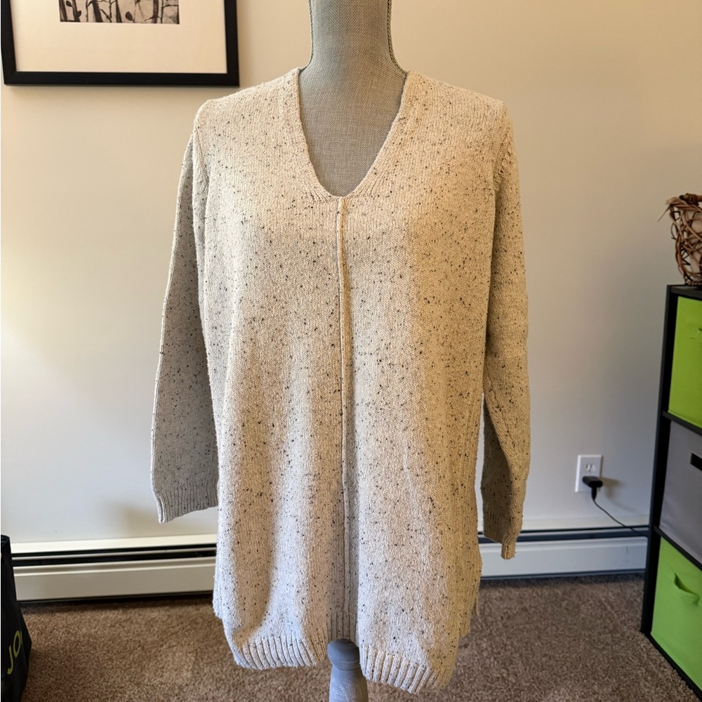 J. Jill Speckled Cream V-Neck Sweater